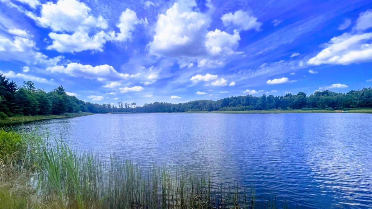 Nad Kamieniem - Domki Caloroczne Dolgie Экстерьер фото